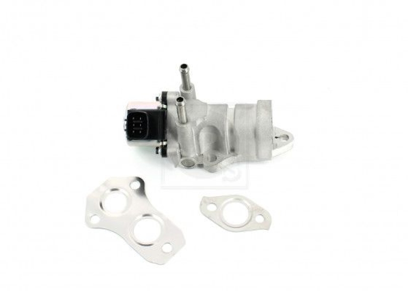 NPS EGR Valve