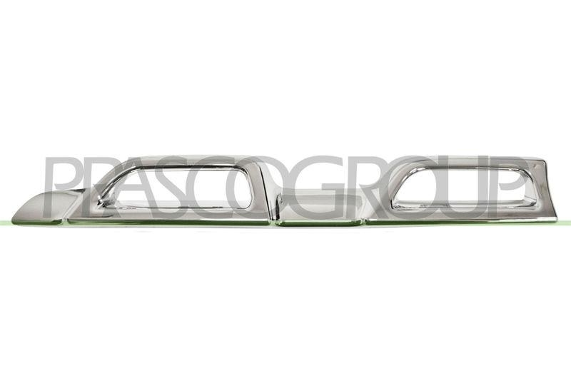 Trim/Protective Strip, radiator grille