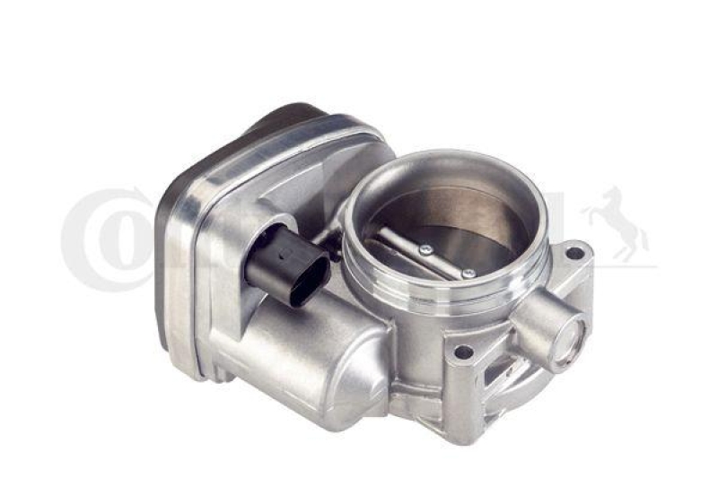 Continental/VDO Throttle body