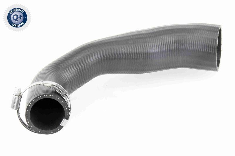 VAICO Charger Air Hose Q+, original equipment manufacturer quality