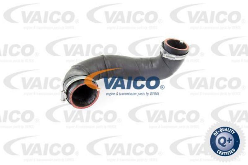 VAICO Charger Air Hose Q+, original equipment manufacturer quality