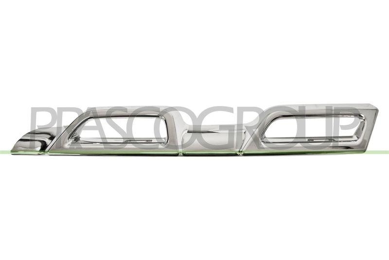 Trim/Protective Strip, radiator grille