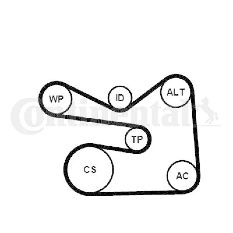 CONTINENTAL CTAM V-Ribbed Belt Set