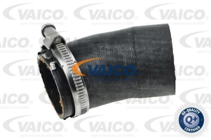 VAICO Charger Air Hose Q+, original equipment manufacturer quality