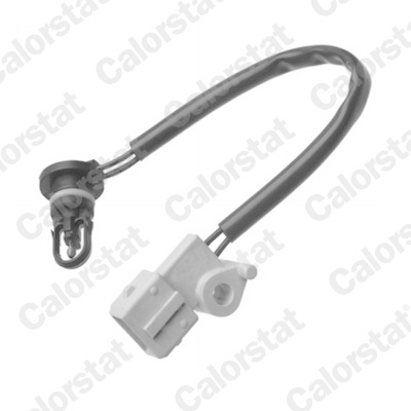 CALORSTAT by Vernet Sensor, intake air temperature