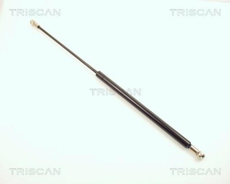 TRISCAN Gasfeder, Koffer-/Laderaum