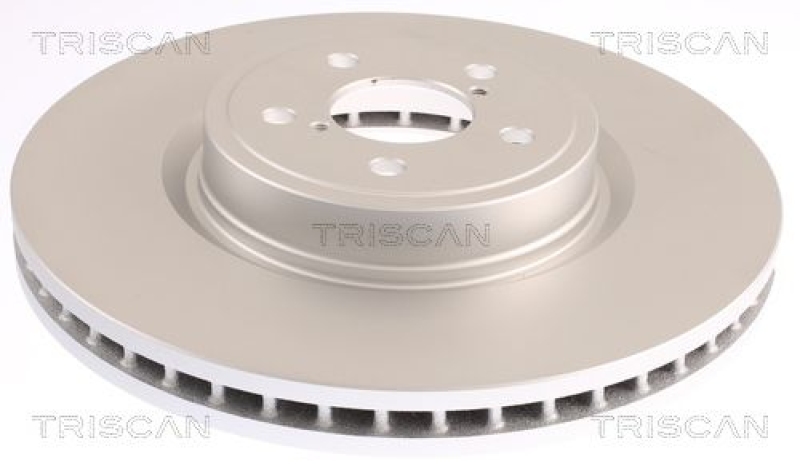 2x TRISCAN Brake Disc