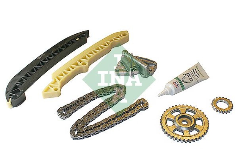 INA Timing Chain Kit