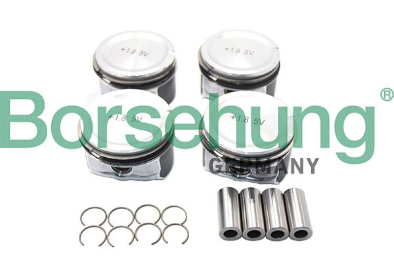 Borsehung Piston Ring Kit