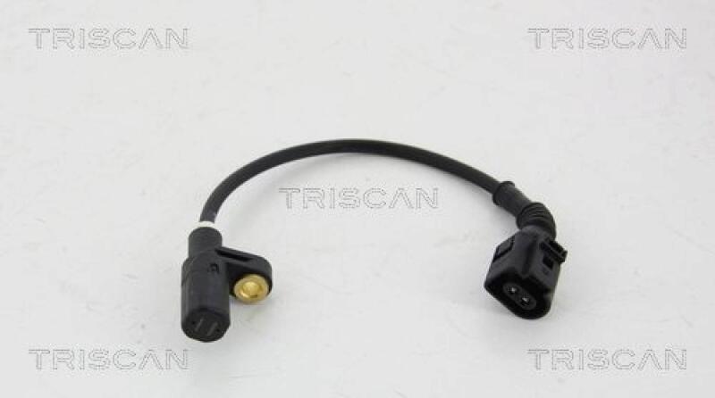 TRISCAN Sensor, wheel speed
