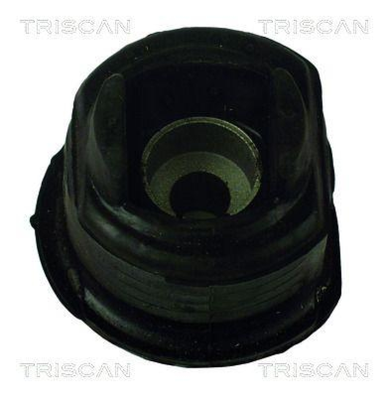 TRISCAN Mounting, axle beam