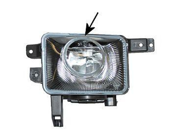 VAN WEZEL Fog Light