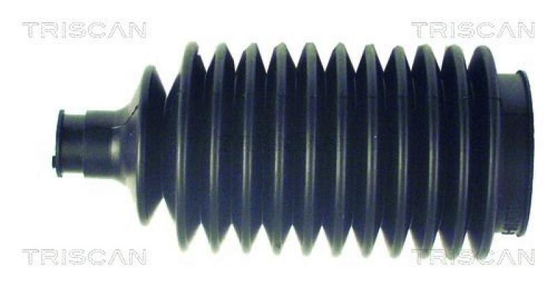 TRISCAN Bellow Set, steering