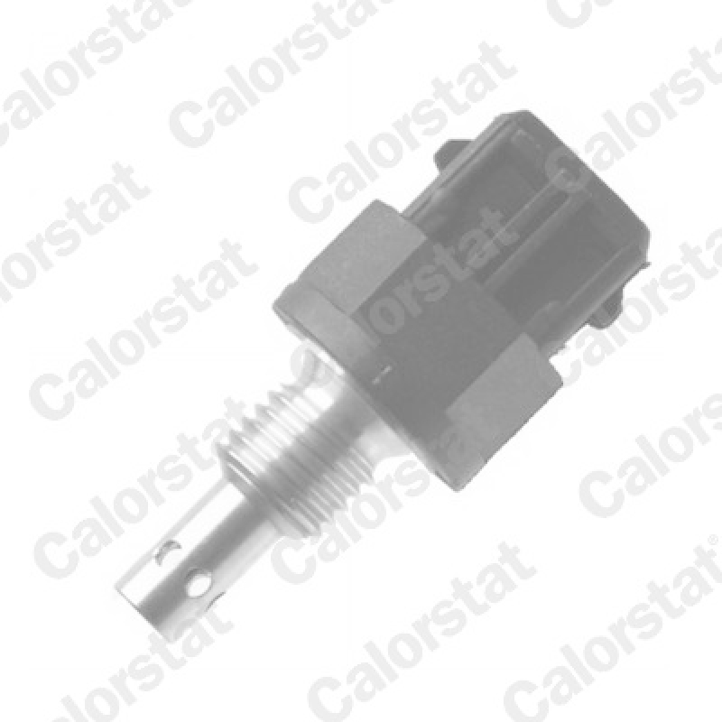CALORSTAT by Vernet Sensor, intake air temperature