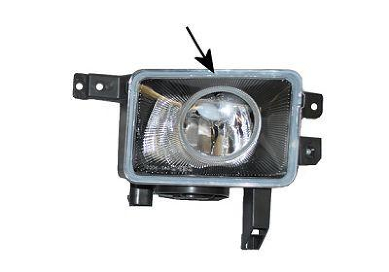 VAN WEZEL Fog Light