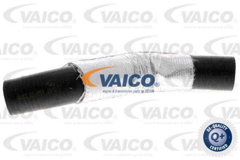 VAICO Ladeluftschlauch Original VAICO Qualität