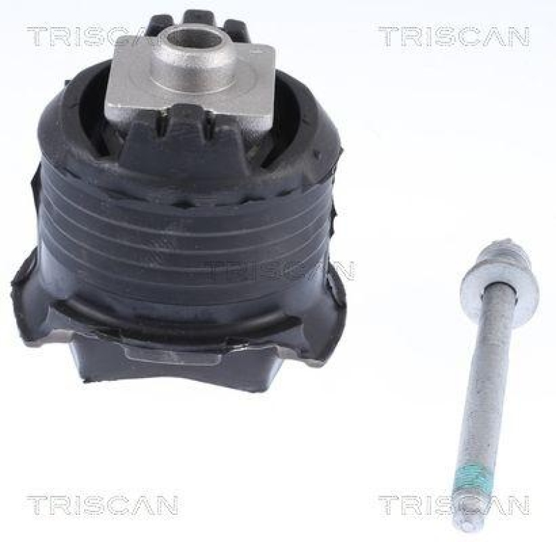 TRISCAN Suspension Kit