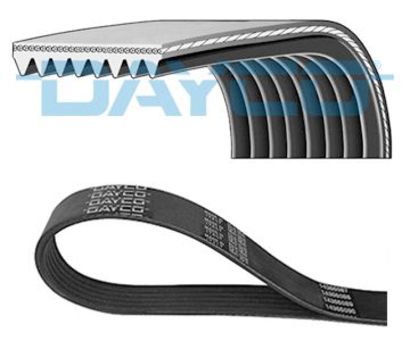 DAYCO Keilrippenriemen 8PK2055HD