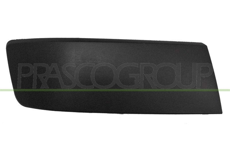 Trim/Protective Strip, bumper