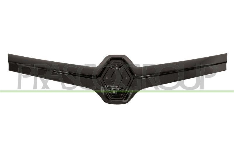 Trim/Protective Strip, radiator grille