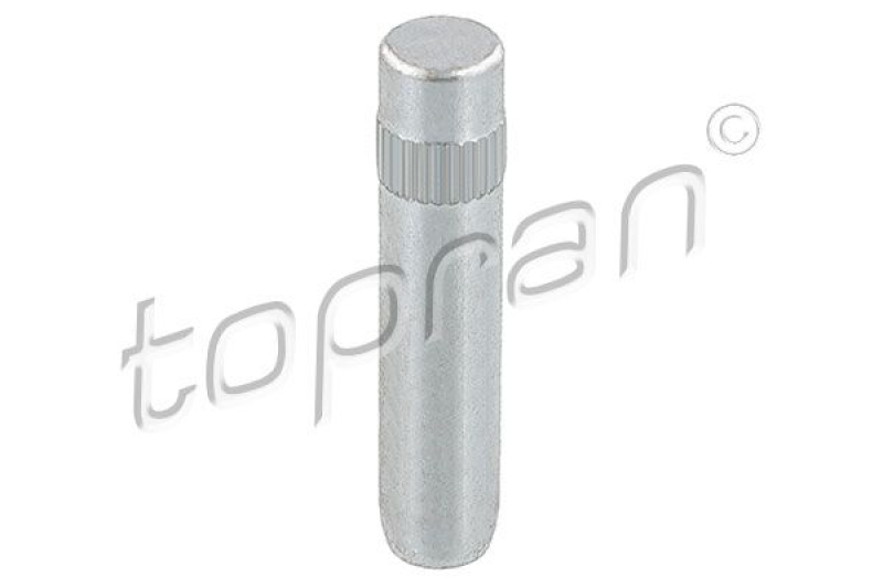 TOPRAN Door Hinge