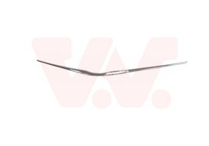VAN WEZEL Trim/Protective Strip, radiator grille