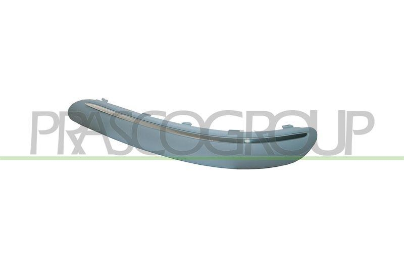Trim/Protective Strip, bumper Premium