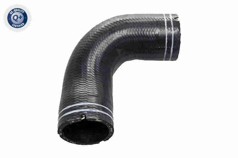 VAICO Schlauch, Kurbelgeh&auml;useentl&uuml;ftung Q+, Erstausr&uuml;sterqualit&auml;t