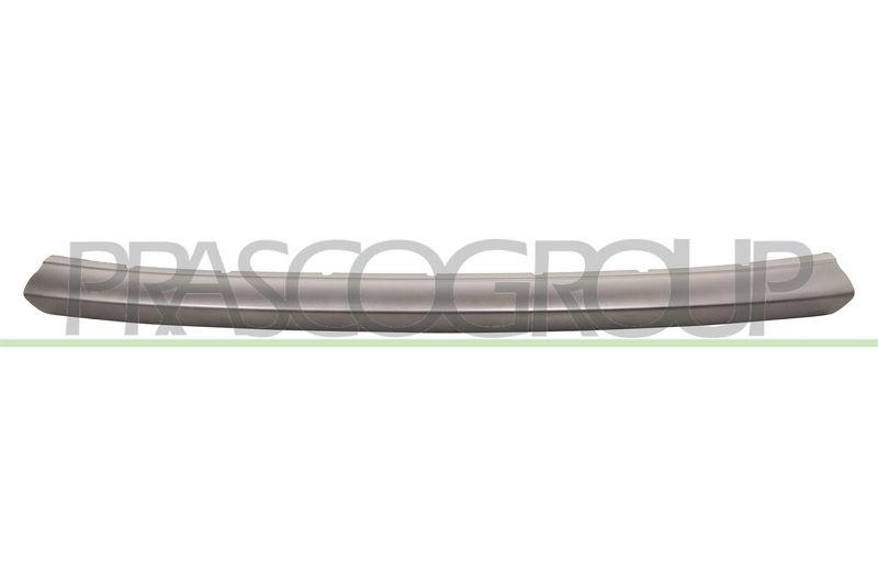 Trim/Protective Strip, bumper