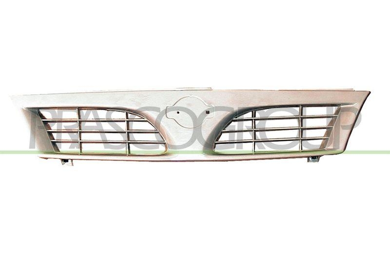 Radiator Grille