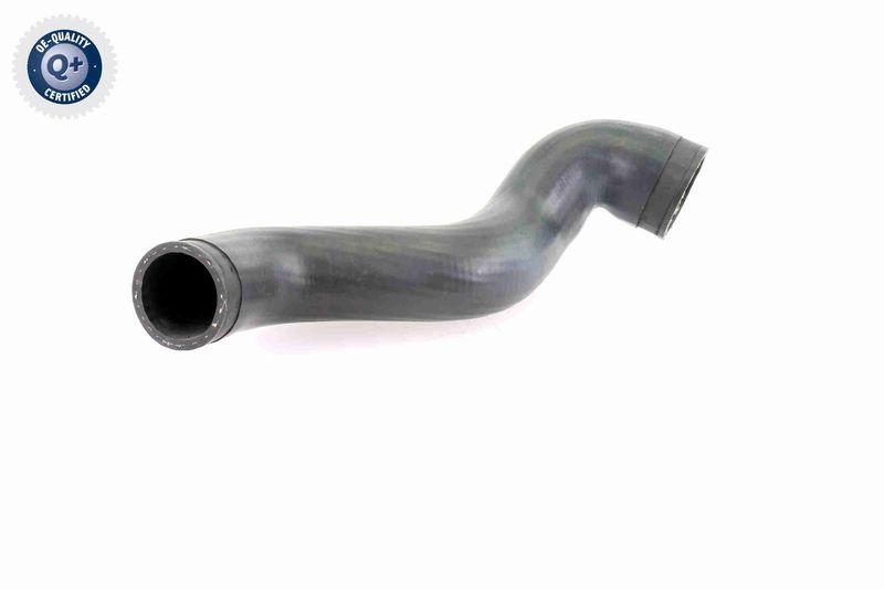 VAICO Charger Air Hose Q+, original equipment manufacturer quality