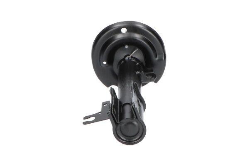KAVO PARTS Stoßdämpfer