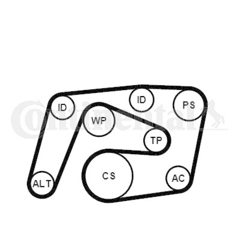 CONTINENTAL CTAM Keilrippenriemensatz