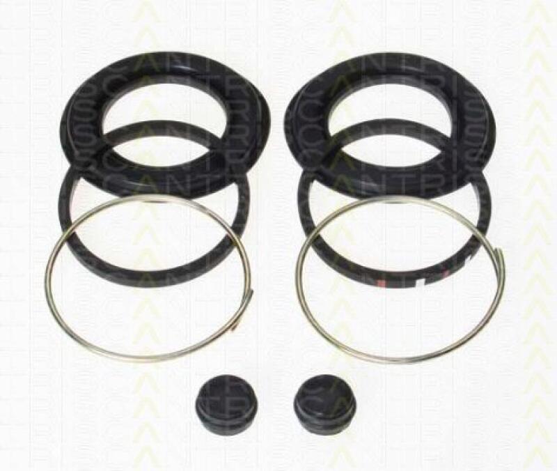 TRISCAN Reparatursatz, Bremssattel 8170 204311
