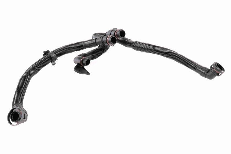 VAICO Hose, crankcase breather Original VAICO Quality