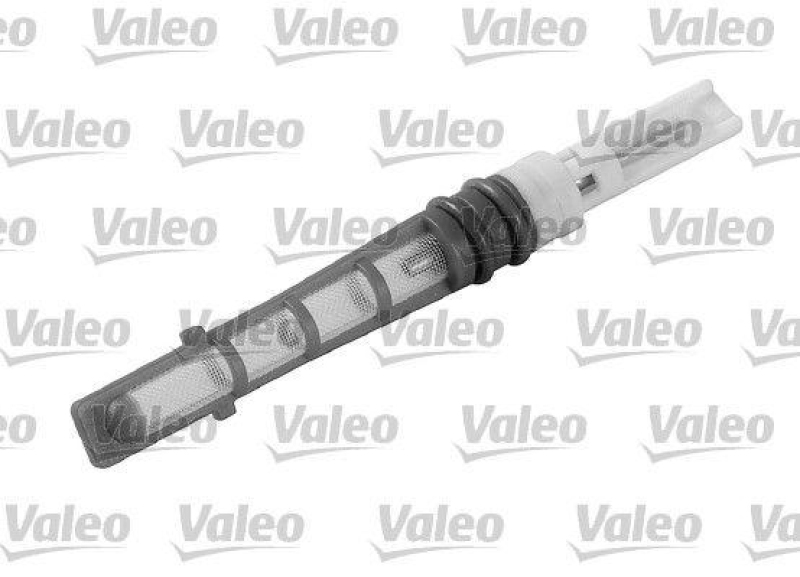 VALEO Injector Nozzle, expansion valve