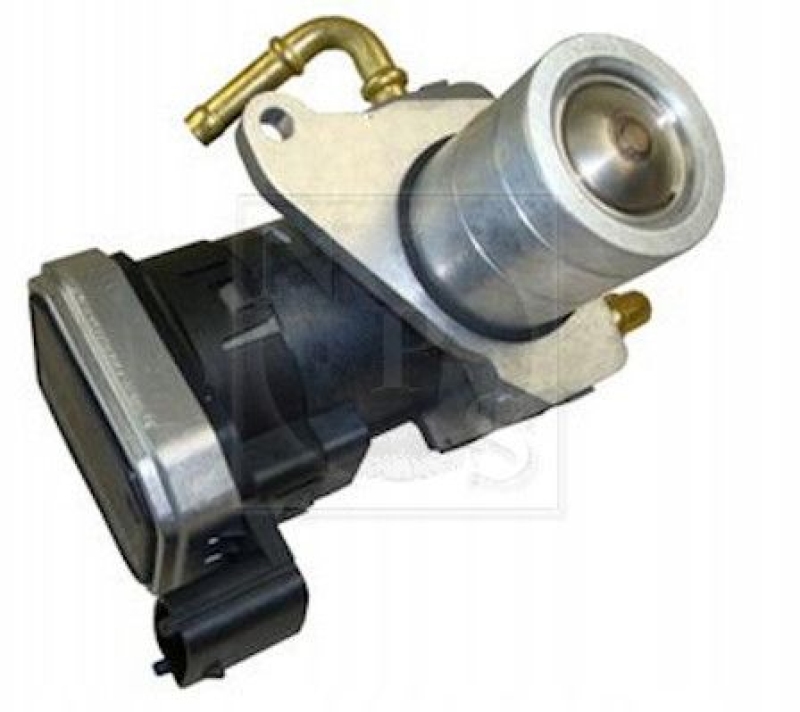 NPS EGR Valve