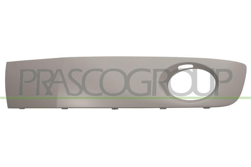 Ventilation Grille, bumper