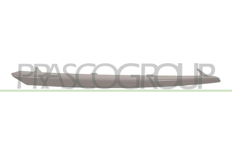 Trim/Protective Strip, radiator grille
