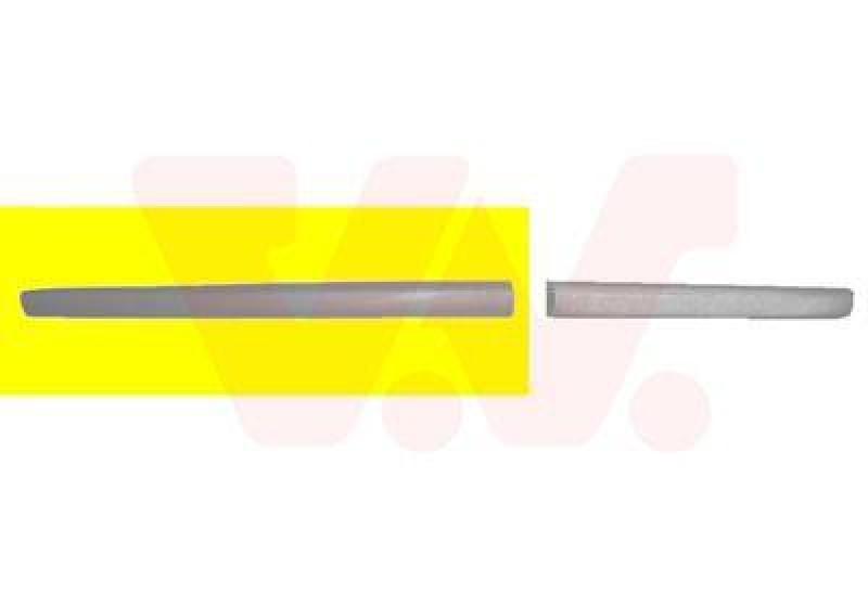 VAN WEZEL Trim/Protective Strip, door