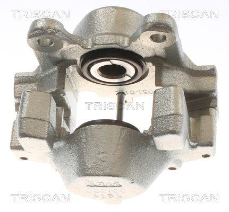 TRISCAN Bremssattel
