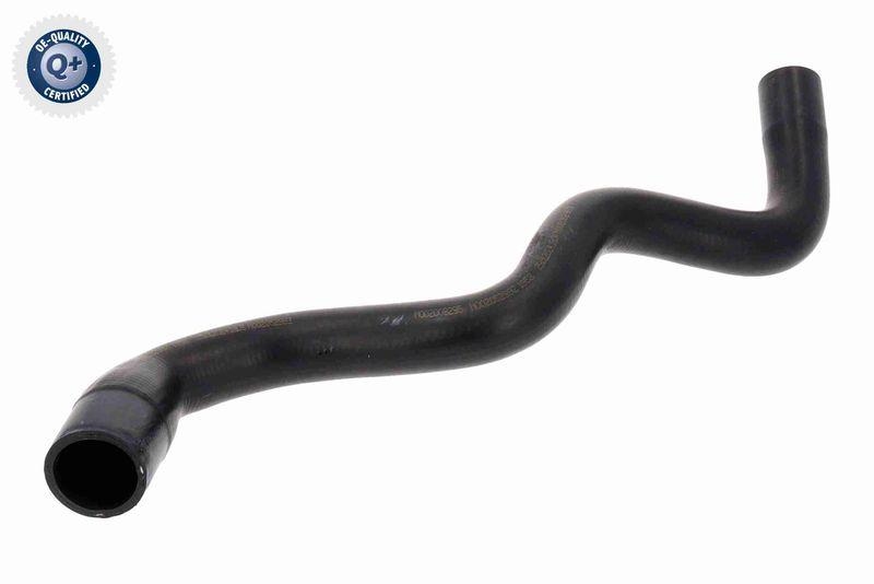 VAICO Radiator Hose Q+, original equipment manufacturer quality