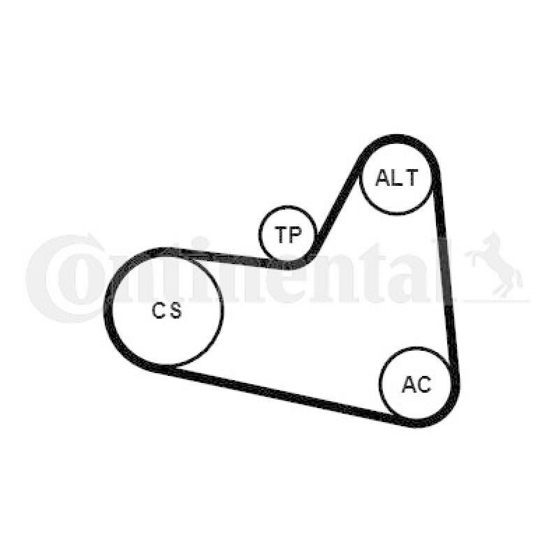 CONTINENTAL CTAM V-Ribbed Belt Set