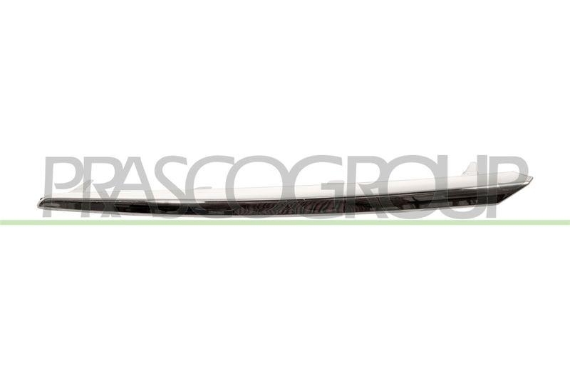 Trim/Protective Strip, radiator grille