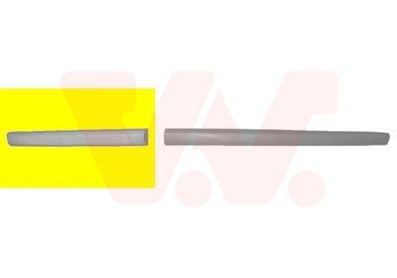 VAN WEZEL Trim/Protective Strip, door