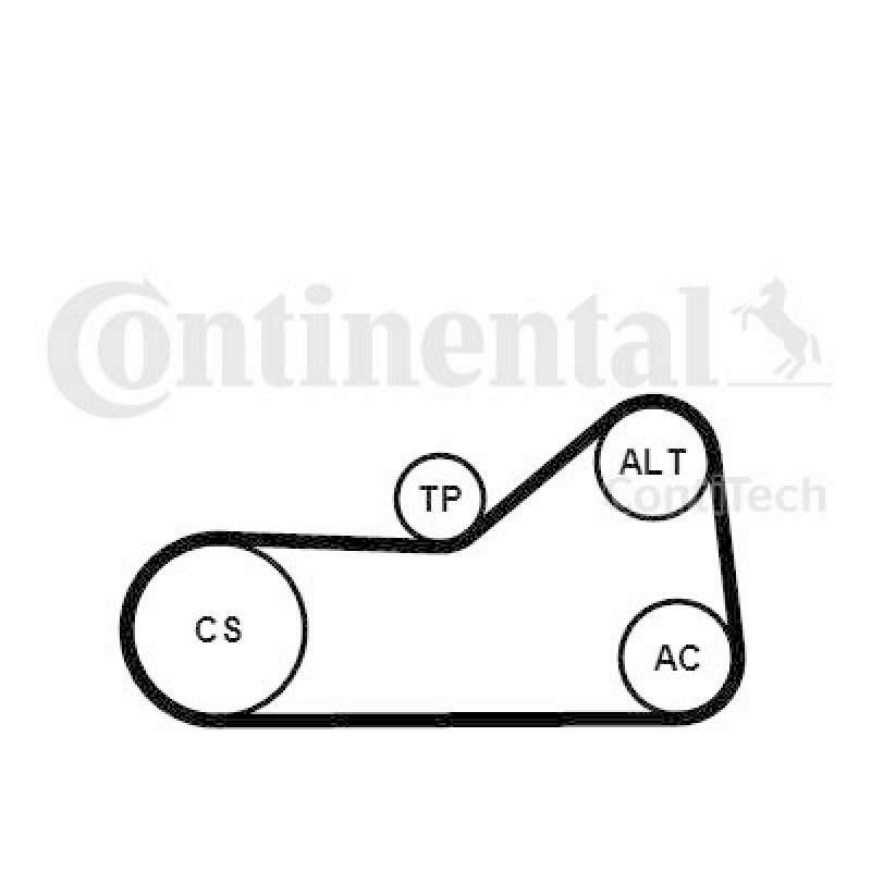 CONTITECH V-Ribbed Belt Set