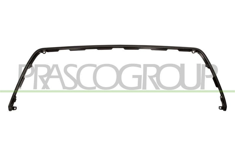 Trim/Protective Strip, radiator grille