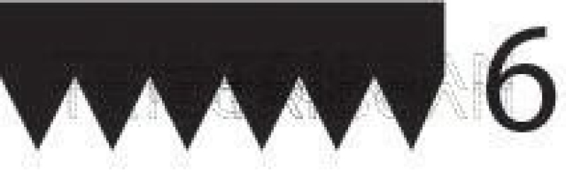 TRISCAN Keilrippenriemen 8640 602143