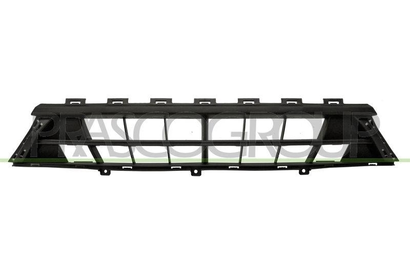 Radiator Grille Premium
