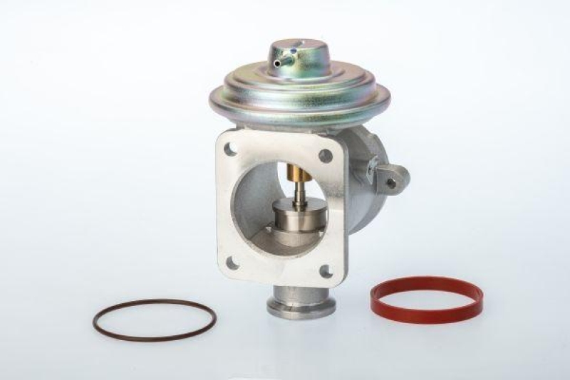 BorgWarner (Wahler) AGR-Ventil 710924D